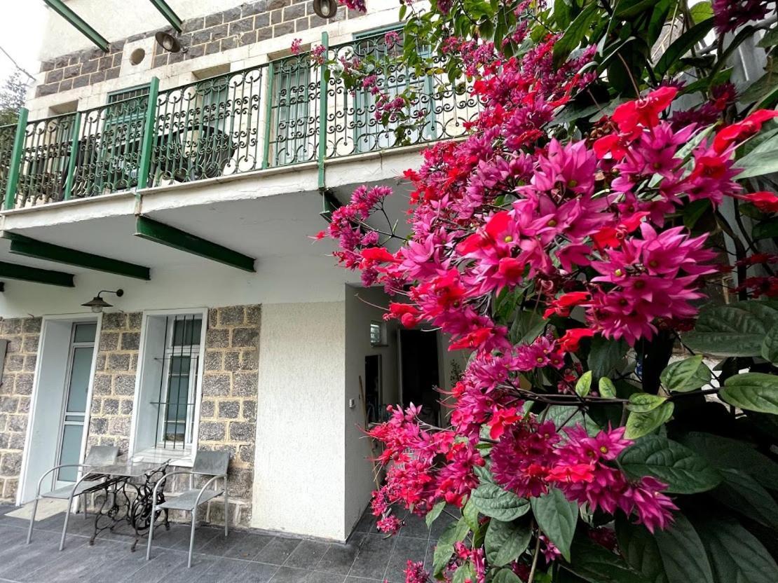 Berenice Winery Hotel Tiberya Dış mekan fotoğraf