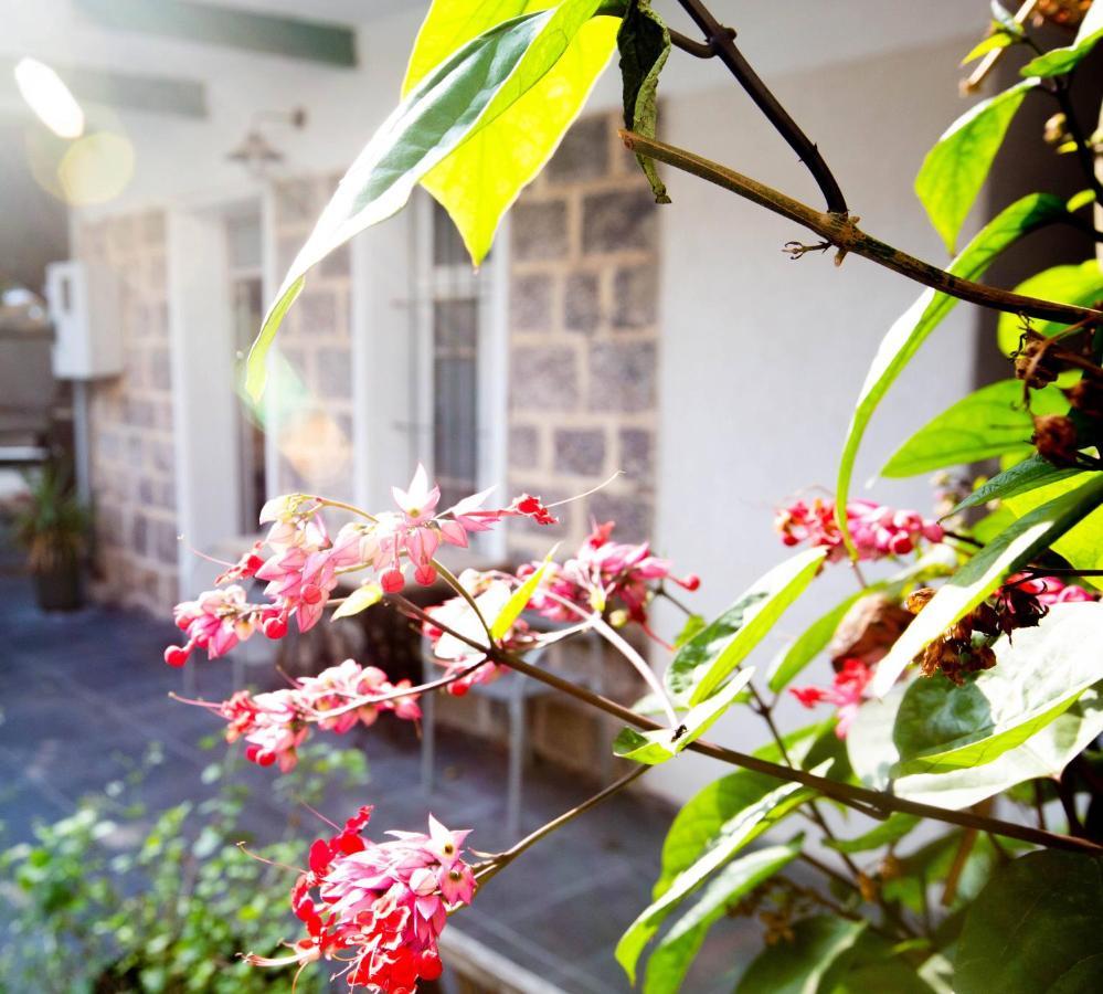 Berenice Winery Hotel Tiberya Dış mekan fotoğraf
