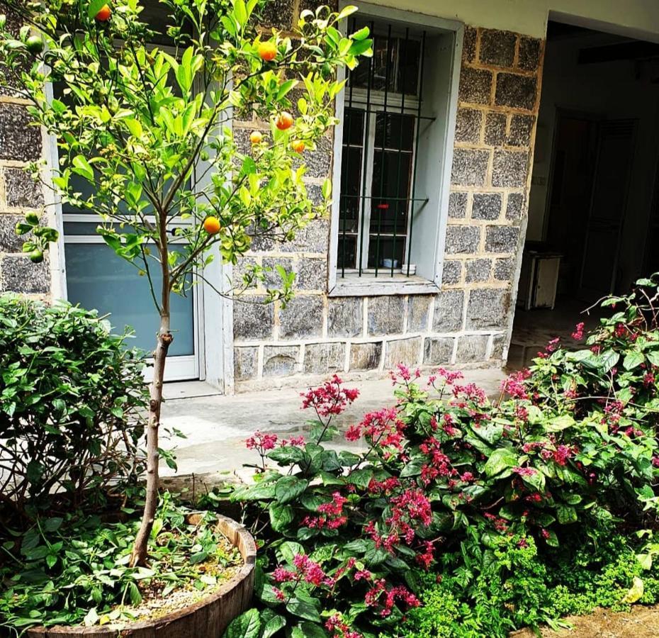 Berenice Winery Hotel Tiberya Dış mekan fotoğraf