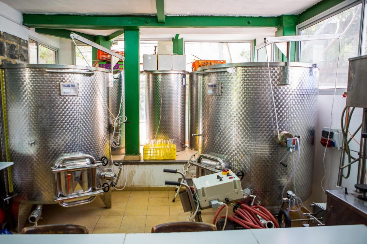 Berenice Winery Hotel Tiberya Dış mekan fotoğraf